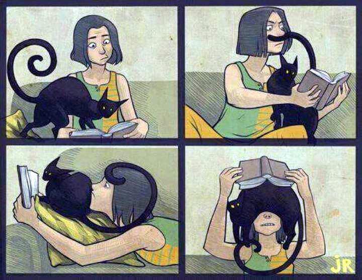 Gatos e livros