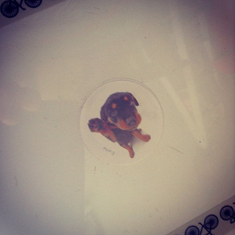 Hora de troar meu netbook?