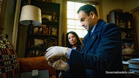 Elementary: A Study in Charlotte (4x13)