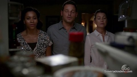 Grey's Anatomy: Both Sides Now (13x05)