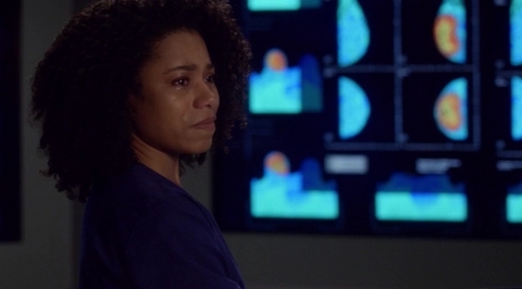 Grey's Anatomy: 'Till I Hear It from You (13x17)