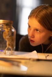 CINEMA: STING: ARANHA ASSASSINA